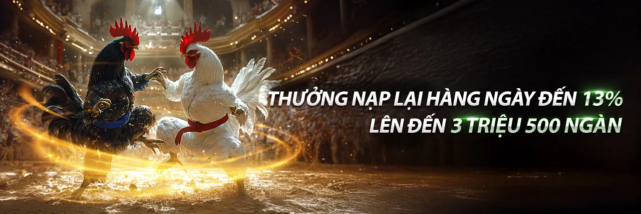 Hình ảnh sang trọng của chương trình VIP 33win68 win